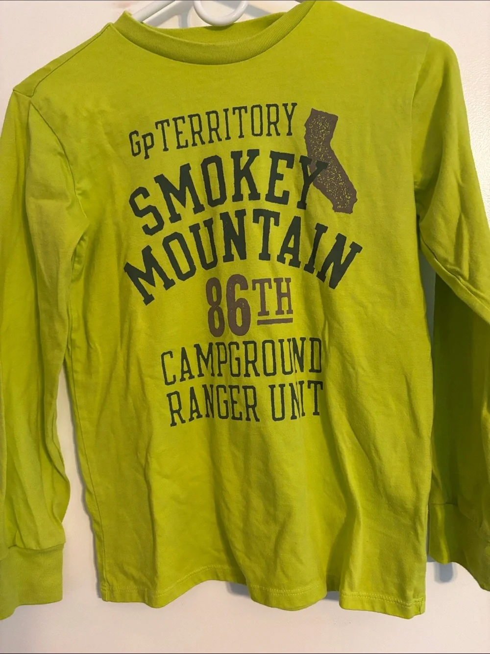GAP Lime Green Long Sleeve Smokey Mountain Graphic Tee
